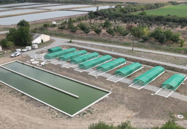 Szarvas MATE - Halivadéknevelő rendszer építése 2.